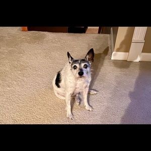 Meet your Posher, Steve